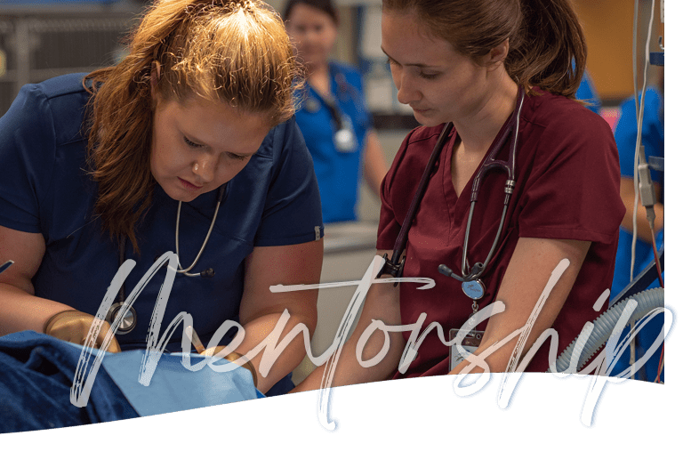 Apprenticeship program at Indy Vet