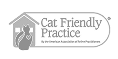 Cat Friendly Practice